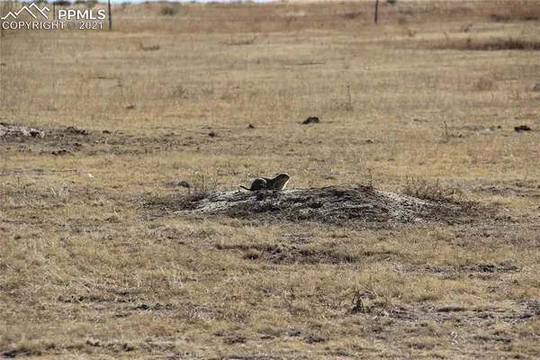 $250,000 | 2805 Solberg Court, Peyton, CO 80831