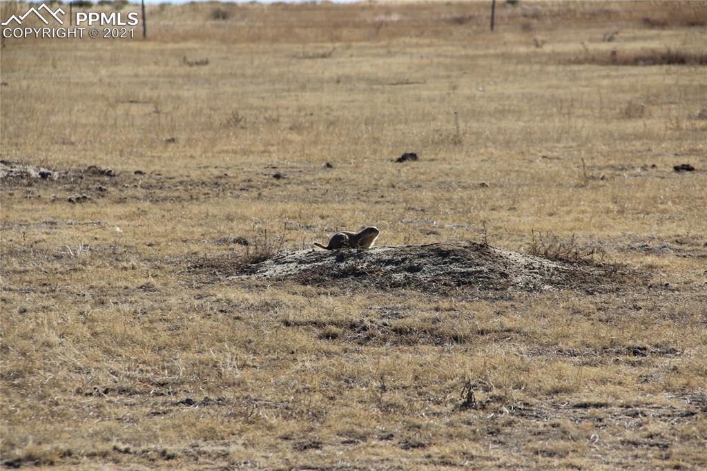 2805 Solberg Court Peyton, CO 80831 - Photo 11 of 11