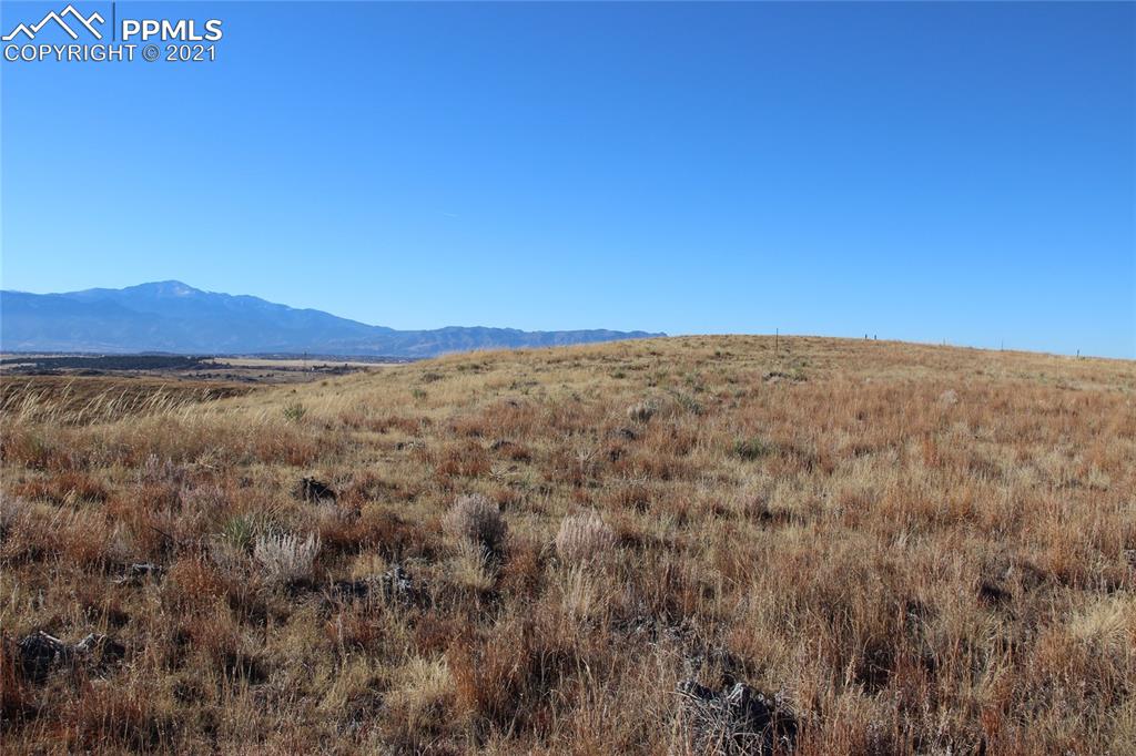 2805 Solberg Court Peyton, CO 80831 - Photo 9 of 11