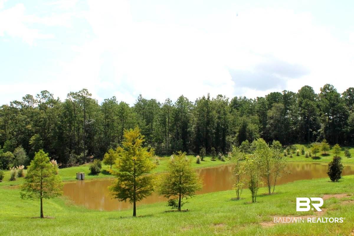 27729 Rhone Drive Daphne, AL 36526 - Photo 10 of 19 Community Lake