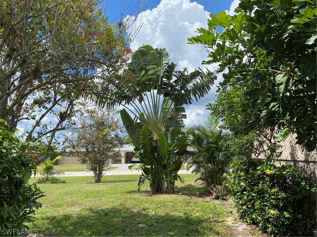 7334 Jonas Road Fort Myers, FL 33967 - Photo 6 of 29 a tree in a yard with lots of green space