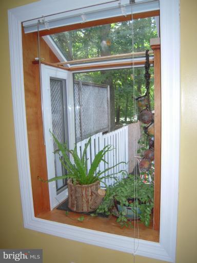 4813 Variation Road Nottingham, MD 21236 - Photo 28 of 30 a view of a porch with a potted plant