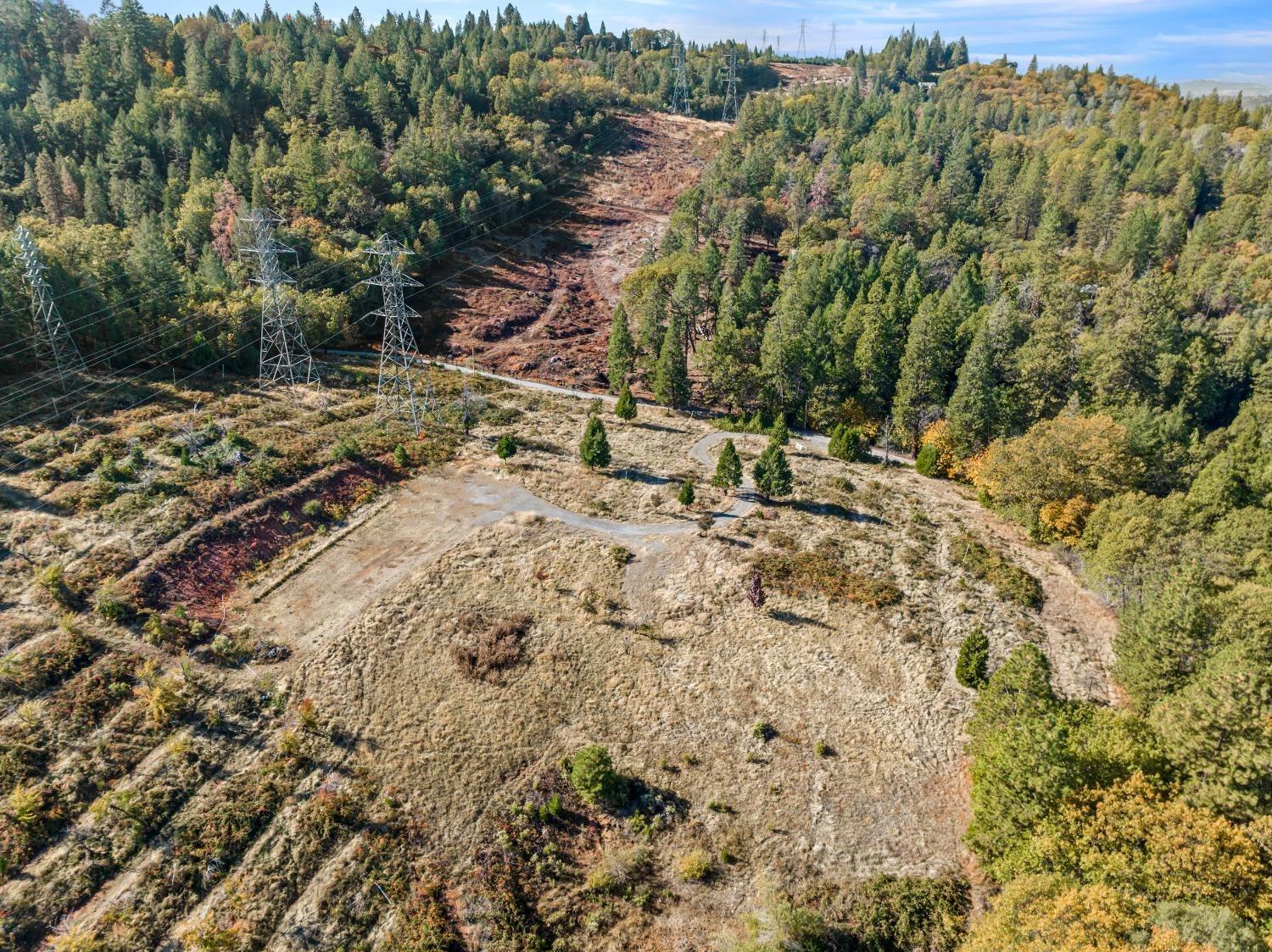 2700 Dancing Oaks Road Camino, CA 95709 - Photo 12 of 31 a view of a yard with a tree