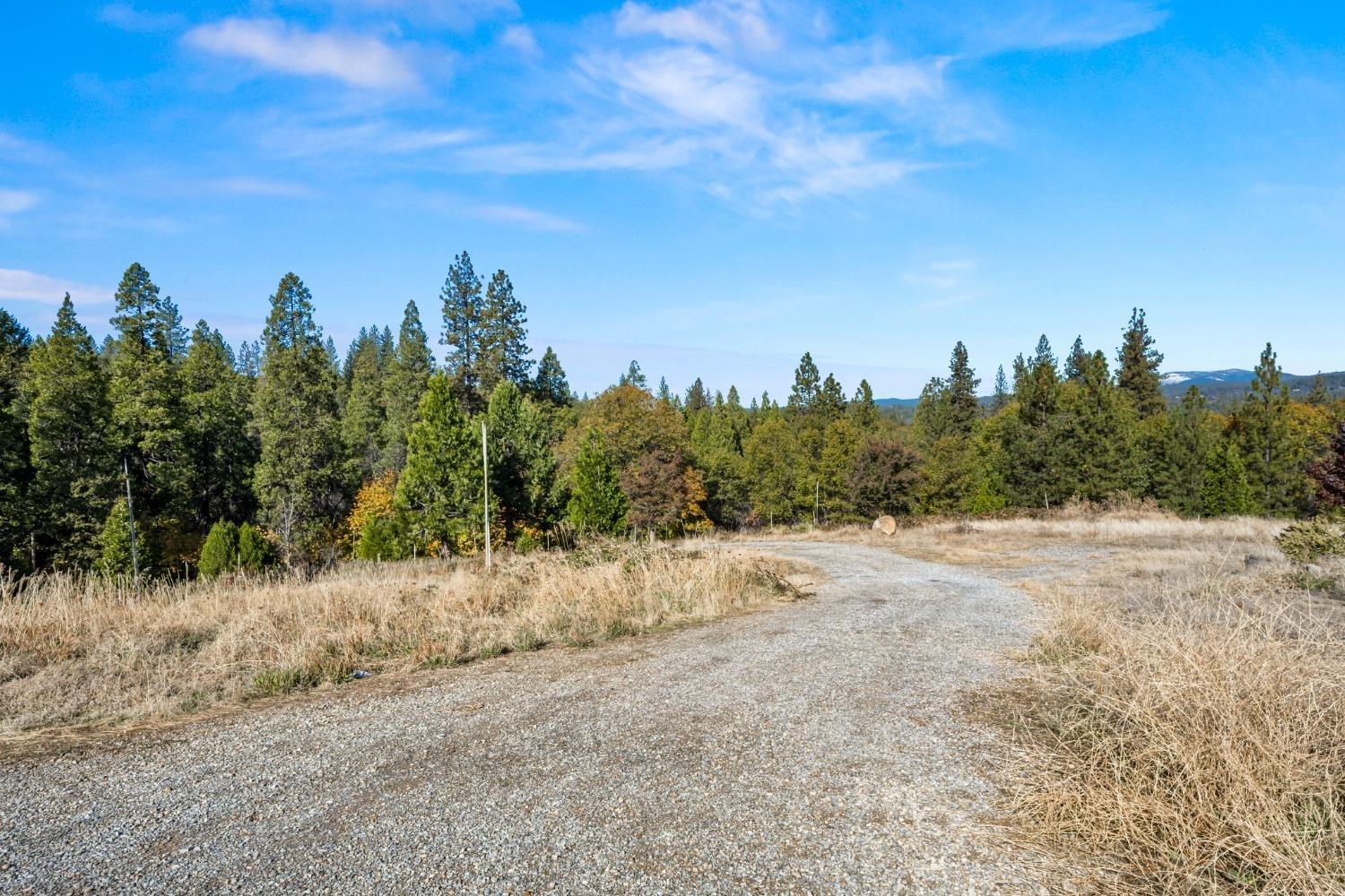 2700 Dancing Oaks Road Camino, CA 95709 - Photo 13 of 31 a view of a dry yard with trees in the background