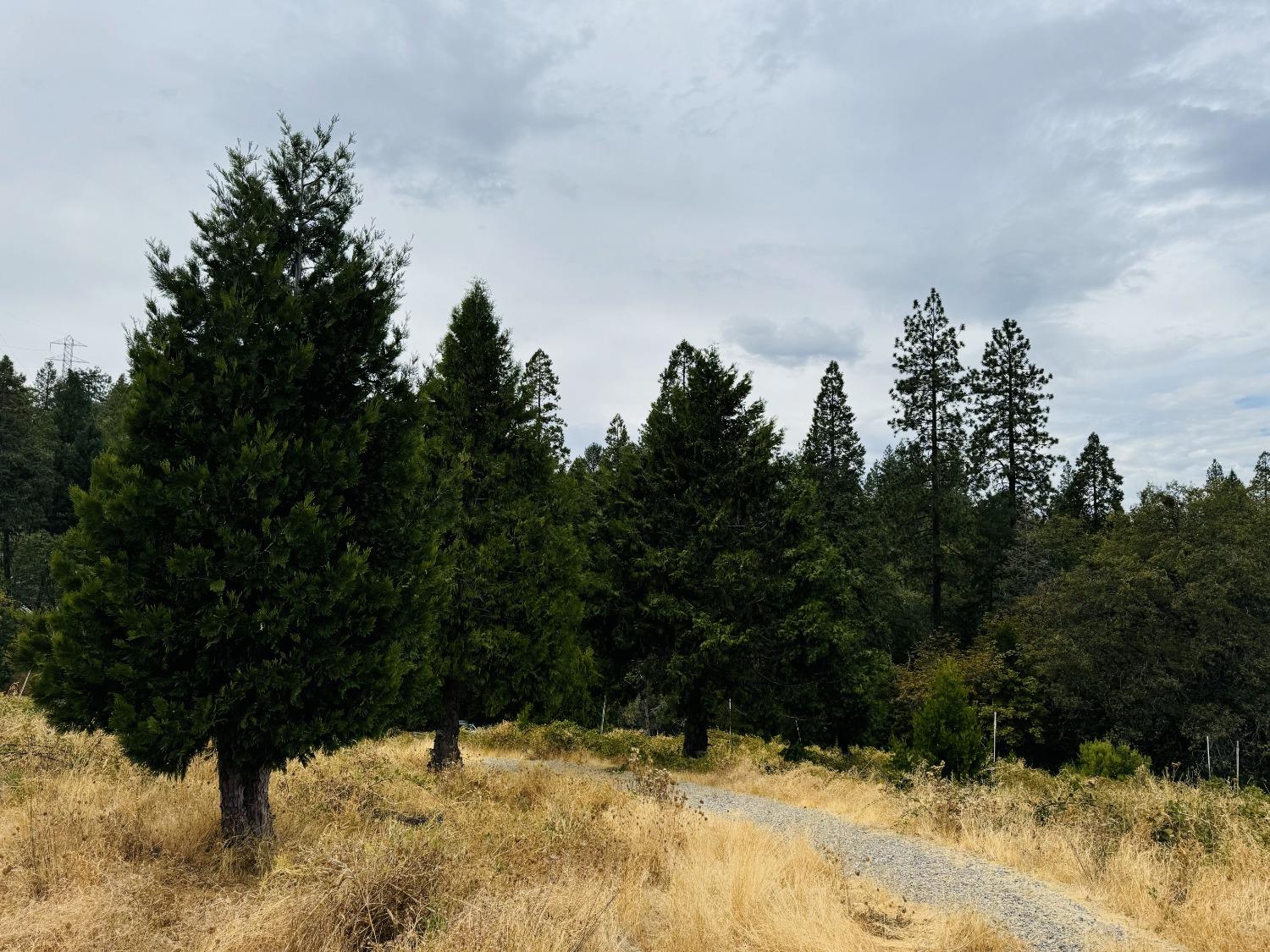 2700 Dancing Oaks Road Camino, CA 95709 - Photo 19 of 31 a view of a yard covered with snow in the background