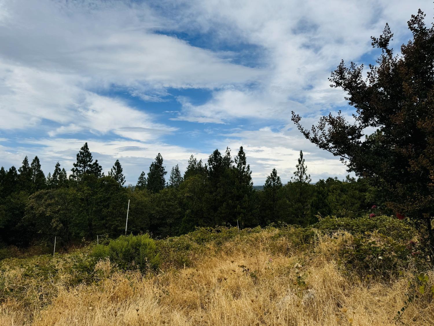 2700 Dancing Oaks Road Camino, CA 95709 - Photo 20 of 31 a view of sky view
