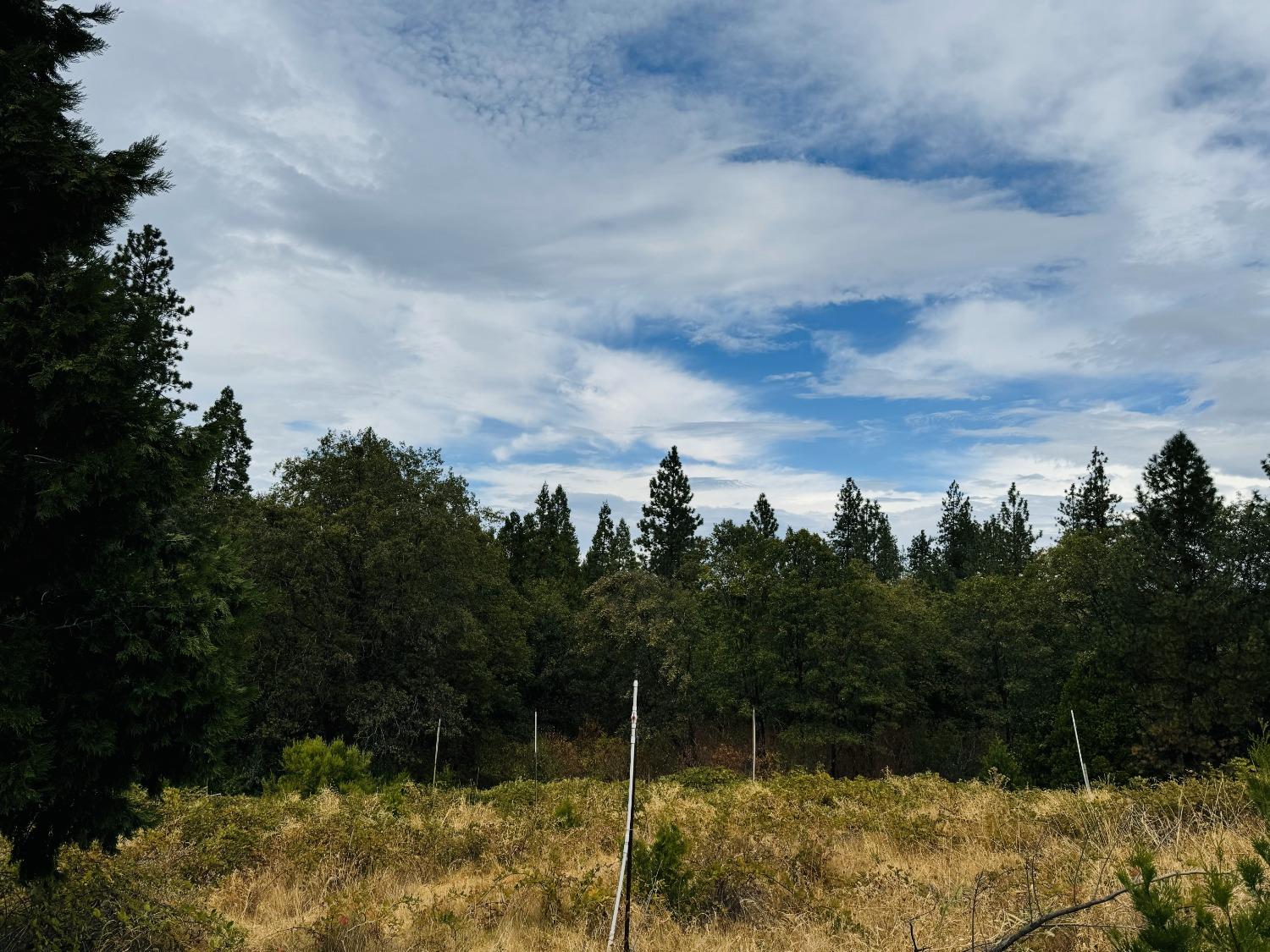 2700 Dancing Oaks Road Camino, CA 95709 - Photo 21 of 31 a view of a garden