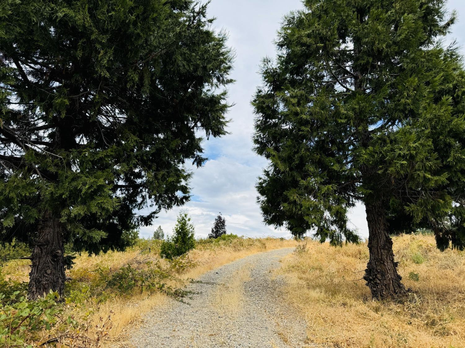 2700 Dancing Oaks Road Camino, CA 95709 - Photo 24 of 31 a view of a snow in a yard