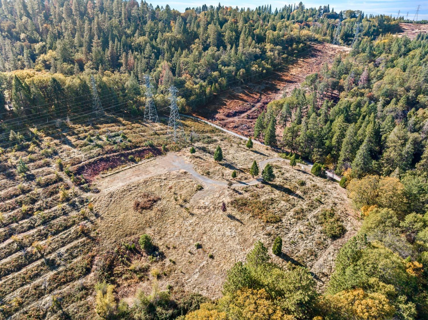 2700 Dancing Oaks Road Camino, CA 95709 - Photo 27 of 31 a view of a yard with a tree