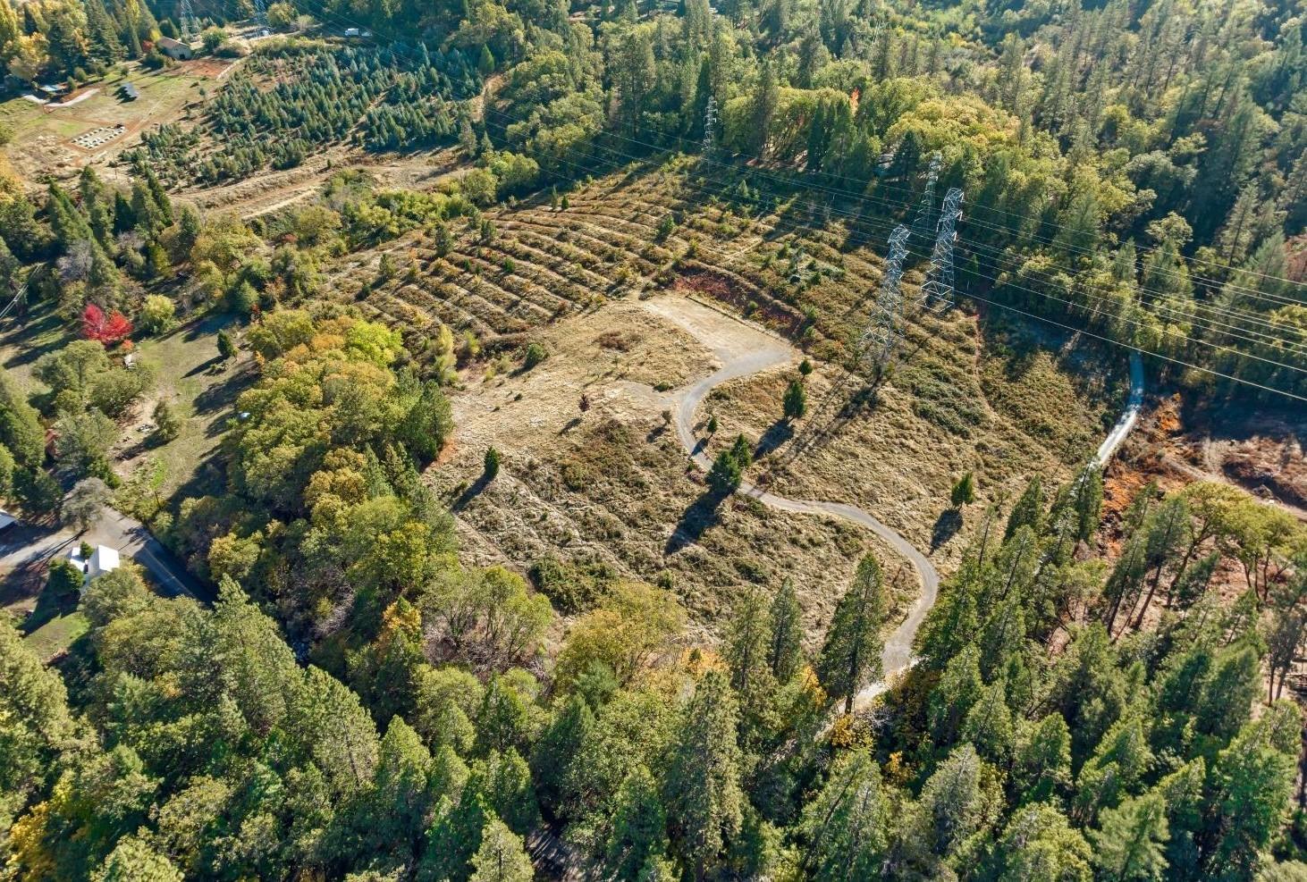 2700 Dancing Oaks Road Camino, CA 95709 - Photo 29 of 31 a view of a yard with plants and tree
