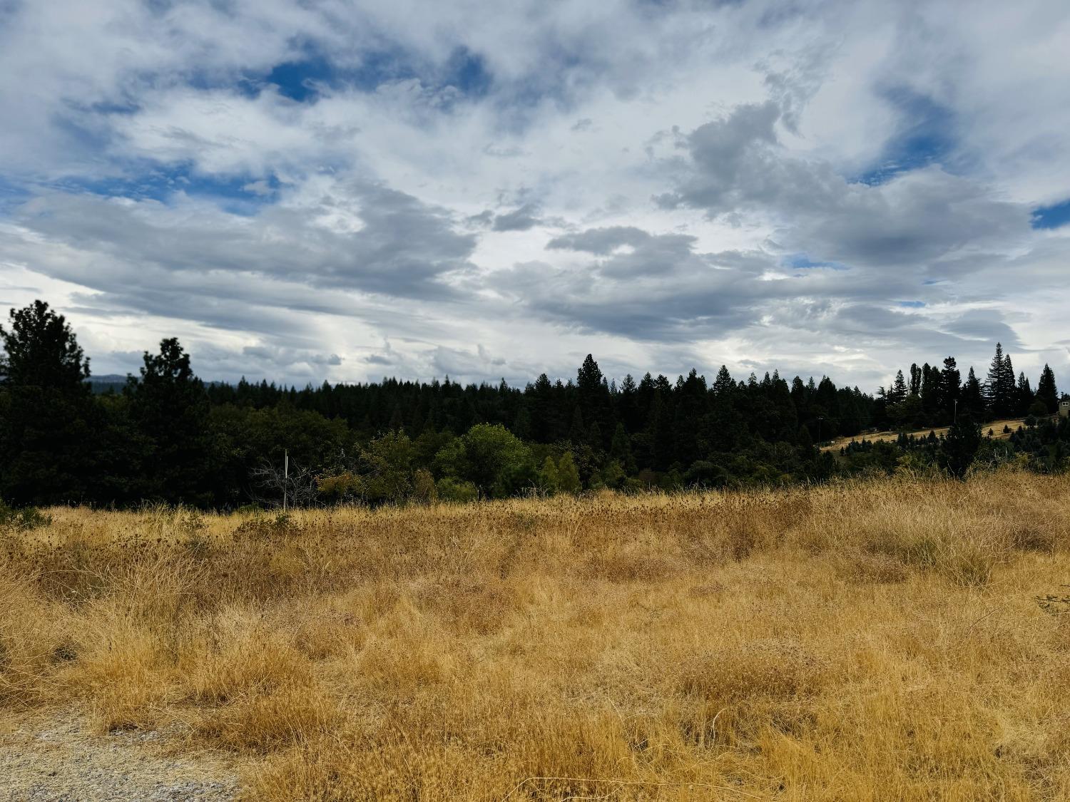 2700 Dancing Oaks Road Camino, CA 95709 - Photo 3 of 31 a view of lake