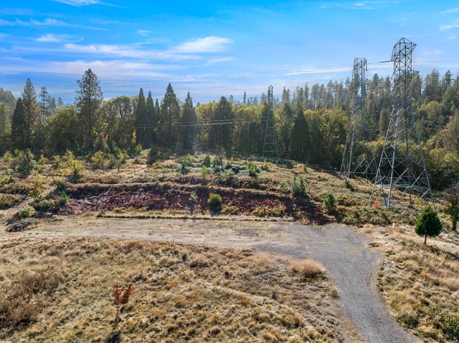 2700 Dancing Oaks Road Camino, CA 95709 - Photo 31 of 31 a view of a covered with trees in the background
