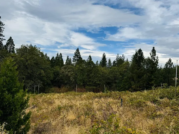 a view of outdoor space and garden