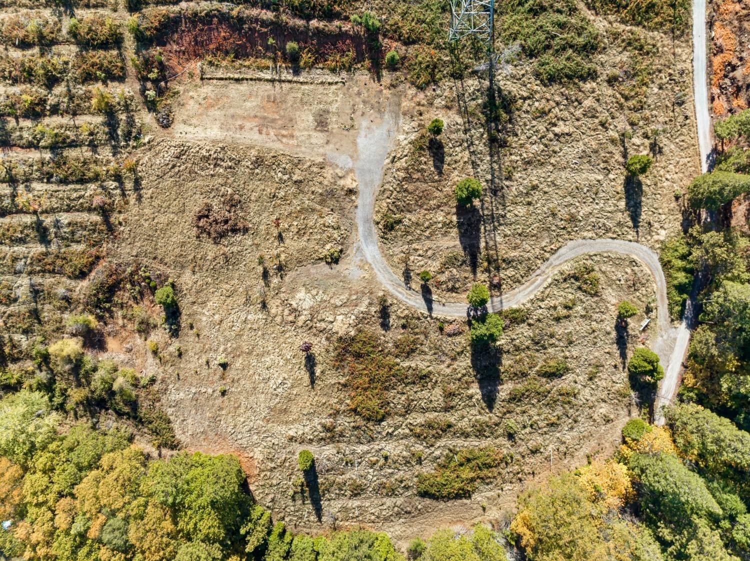 2700 Dancing Oaks Road Camino, CA 95709 - Photo 7 of 31 a bathroom with a bathtub