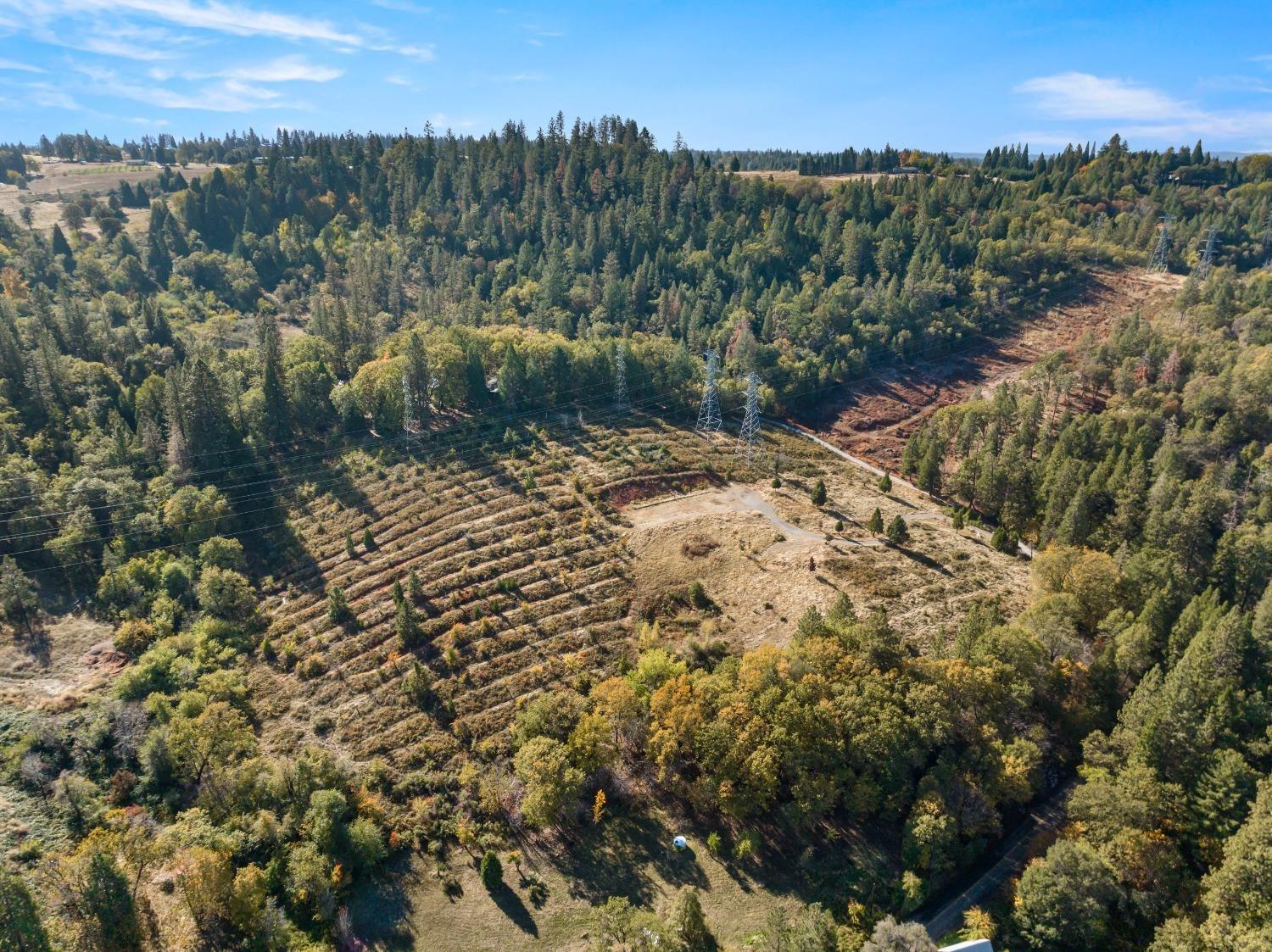 2700 Dancing Oaks Road Camino, CA 95709 - Photo 8 of 31 a view of a forest with a street