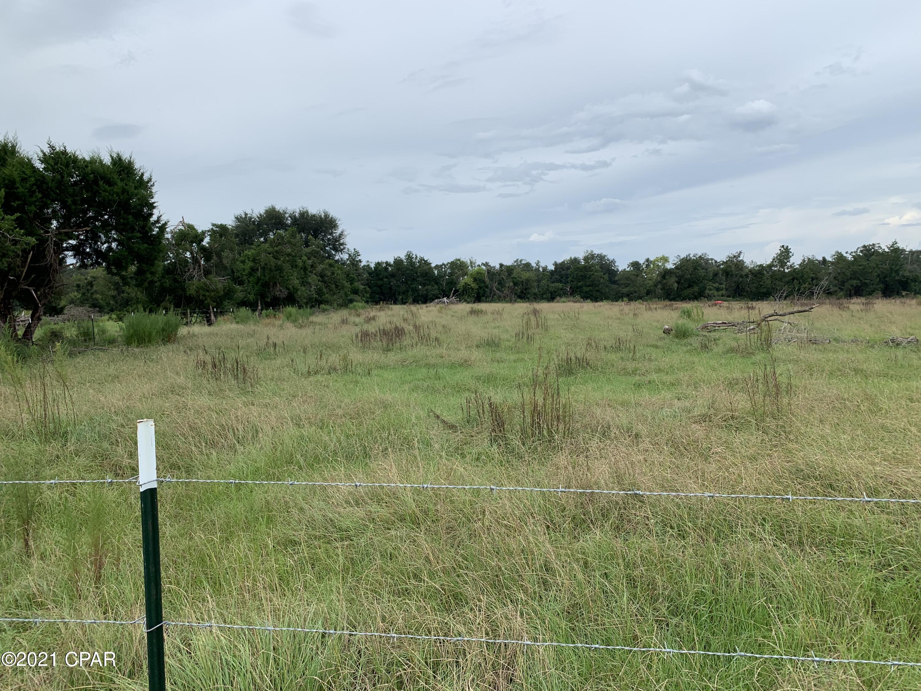 5041 Liberty Hill Road Bascom, FL 32423 - Photo 29 of 45