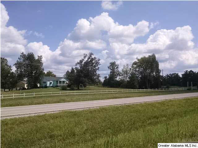 9868 Highway 431 Alexandria, AL 36250 - Photo 1 of 28