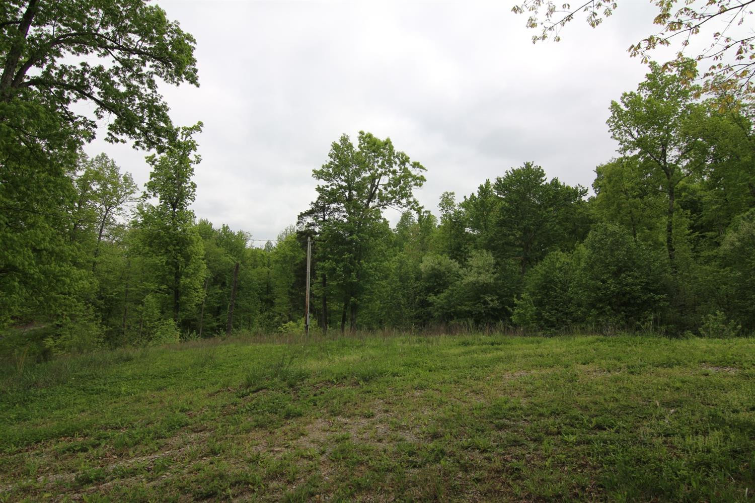 7 Balltown Road Bardstown, KY 40004 - Photo 7 of 8 Listing Photo