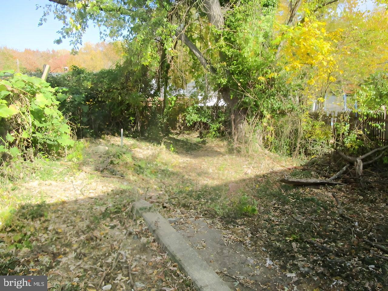 1827 Ray Leonard Road Landover, MD 20785 - Photo 3 of 22 Backyard