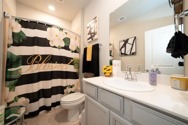 a bathroom with a sink a toilet and shower curtain