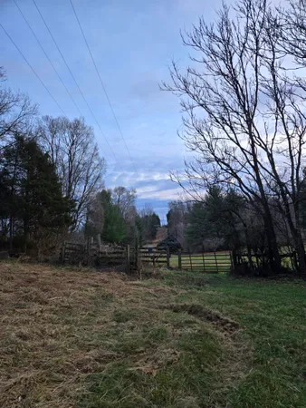 a view of outdoor space with green field and trees