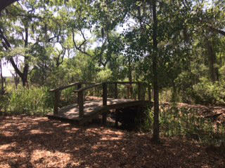 2873 Rutherford Way Charleston, SC 29414 - Photo 6 of 19 CB walking trails