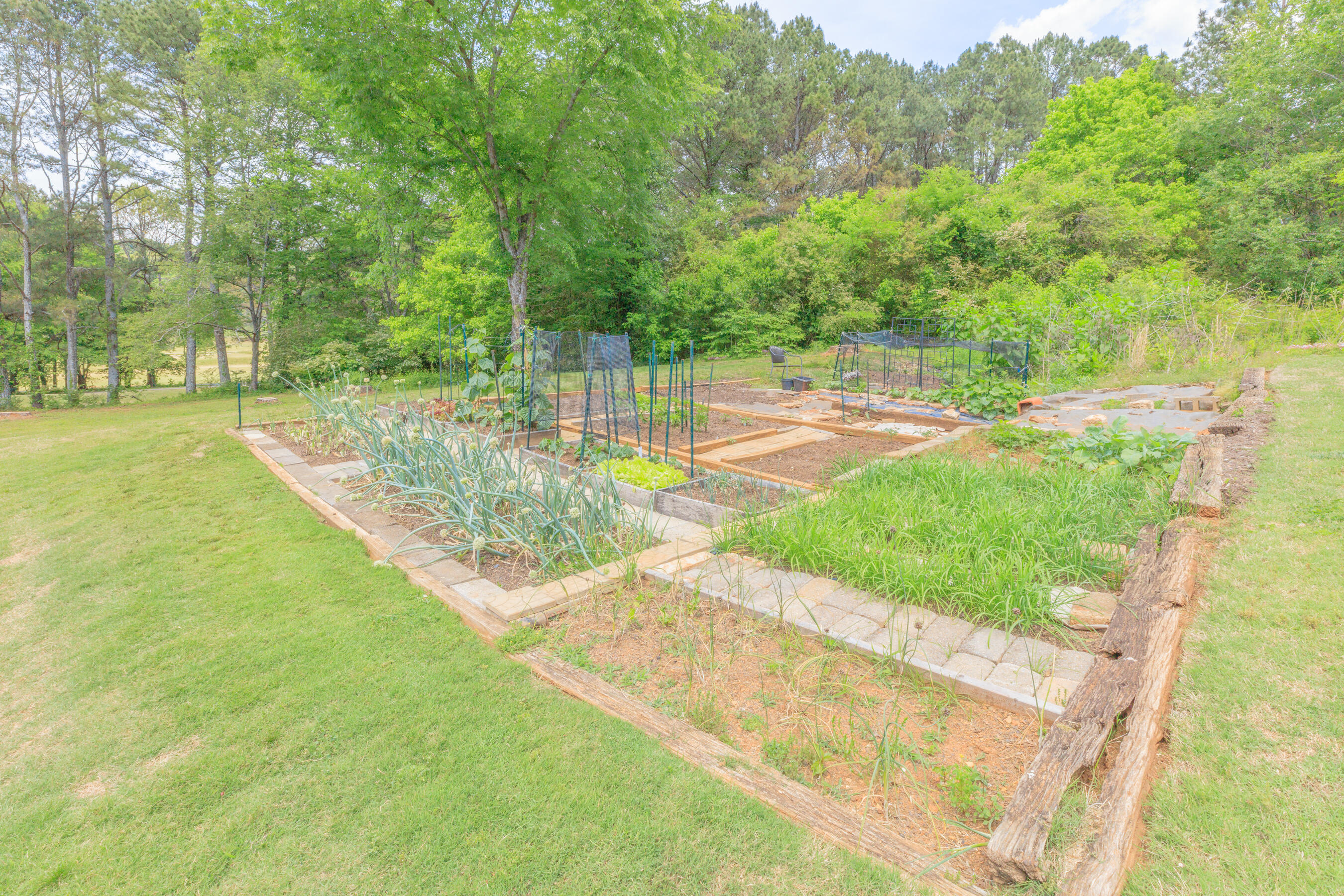 122 Drivers Lane Cohutta, GA 30710 - Photo 109 of 120 122 Driver Lane Exterior HD-14