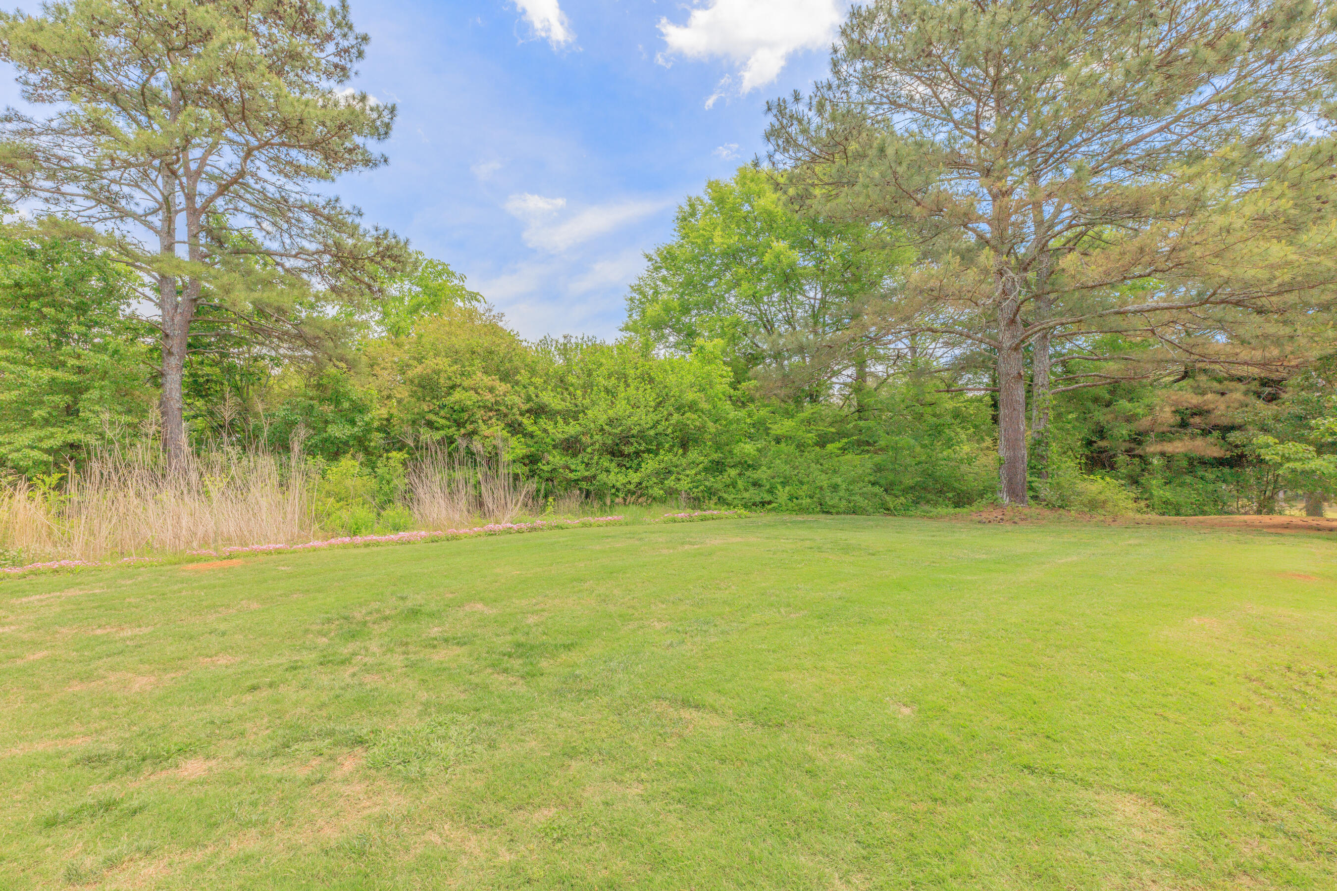 122 Drivers Lane Cohutta, GA 30710 - Photo 110 of 120 122 Driver Lane Exterior HD-15