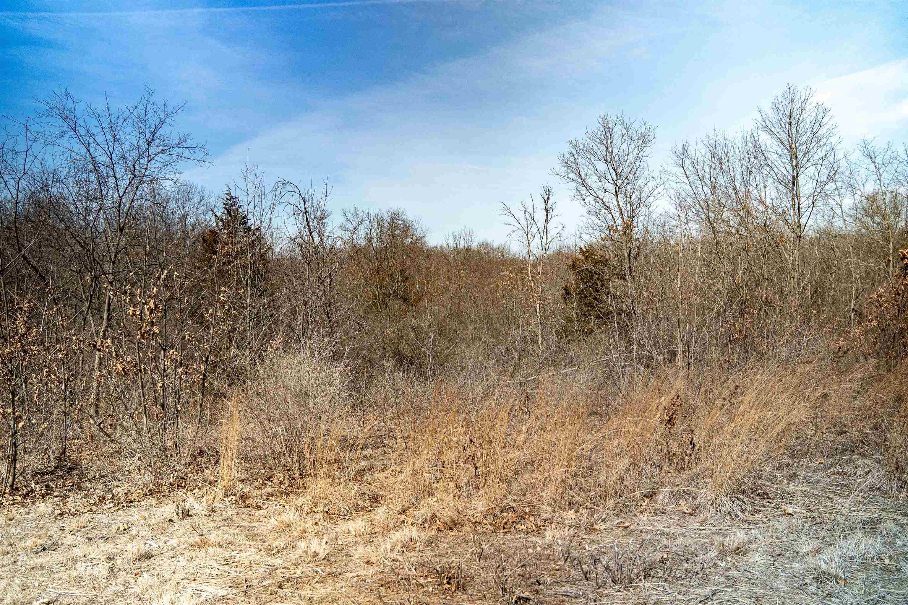0 Holly Road Fulton, IL 61252 - Photo 81 of 92 Gallery Image 81