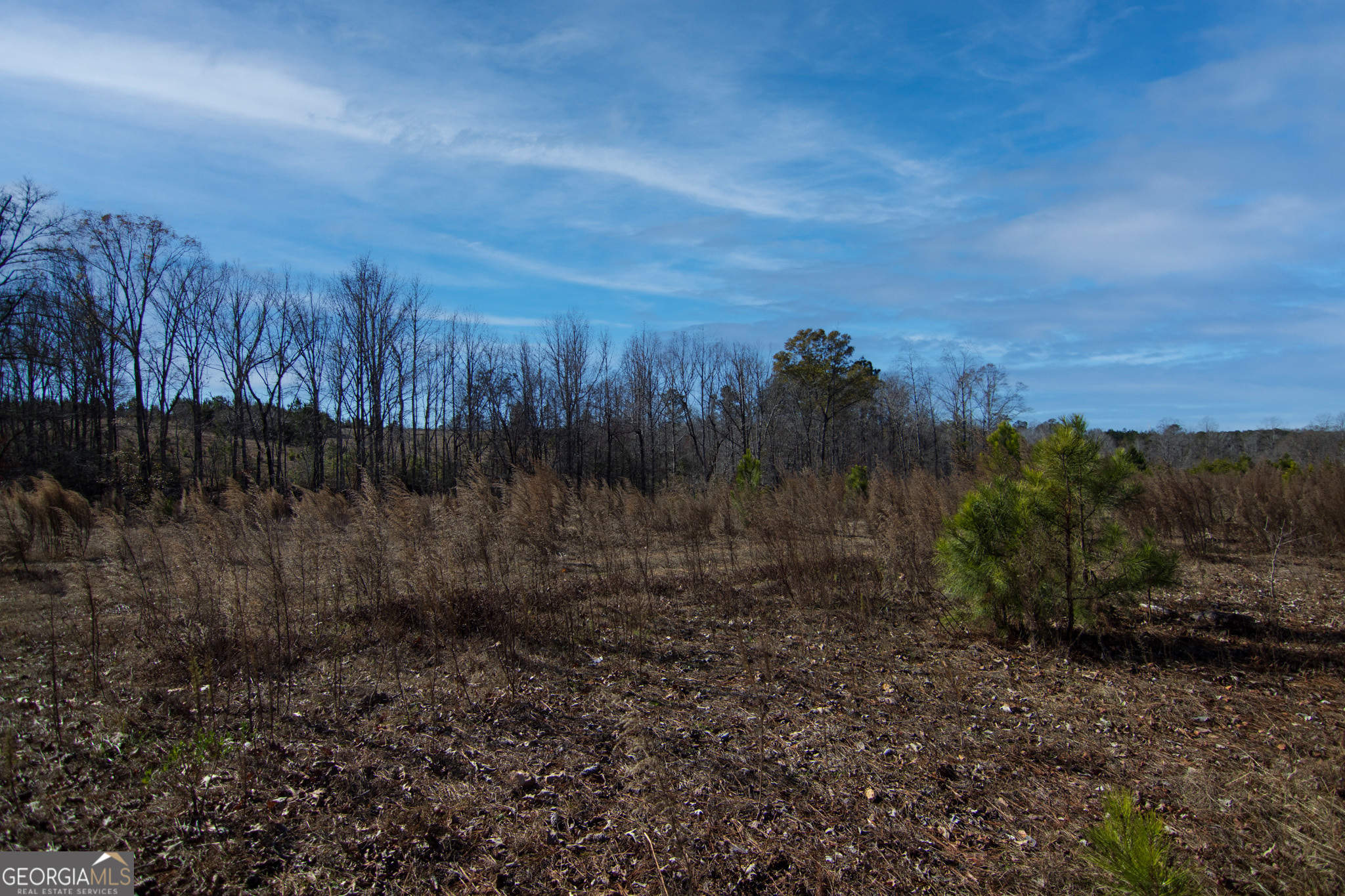 Tract 6-0 Chestnut Grove Road Shiloh, GA 31826 - Photo 1 of 26