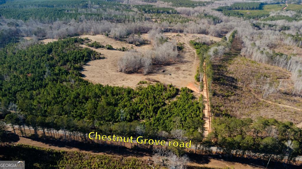 Tract 6-0 Chestnut Grove Road Shiloh, GA 31826 - Photo 19 of 26
