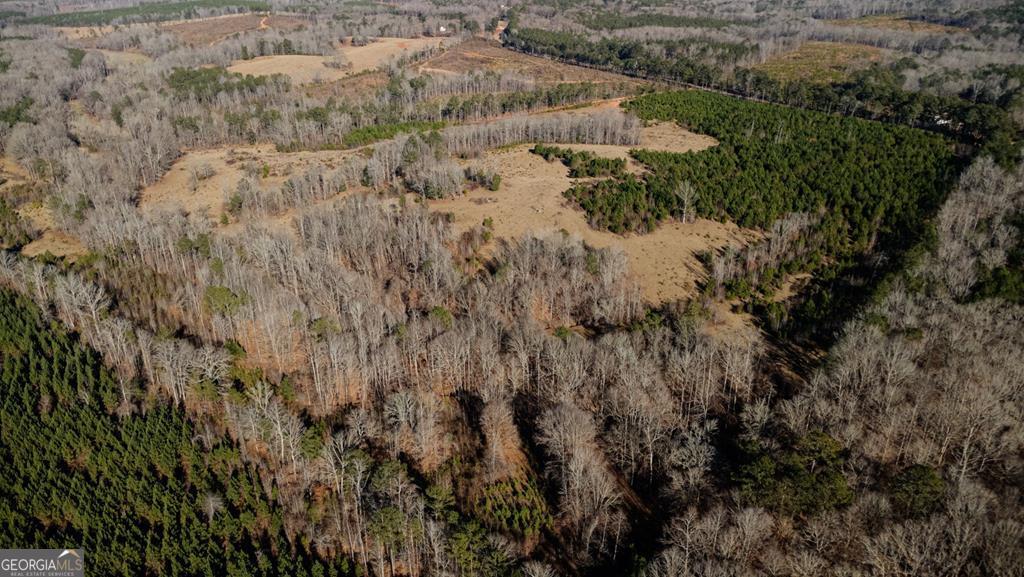 Tract 6-0 Chestnut Grove Road Shiloh, GA 31826 - Photo 20 of 26