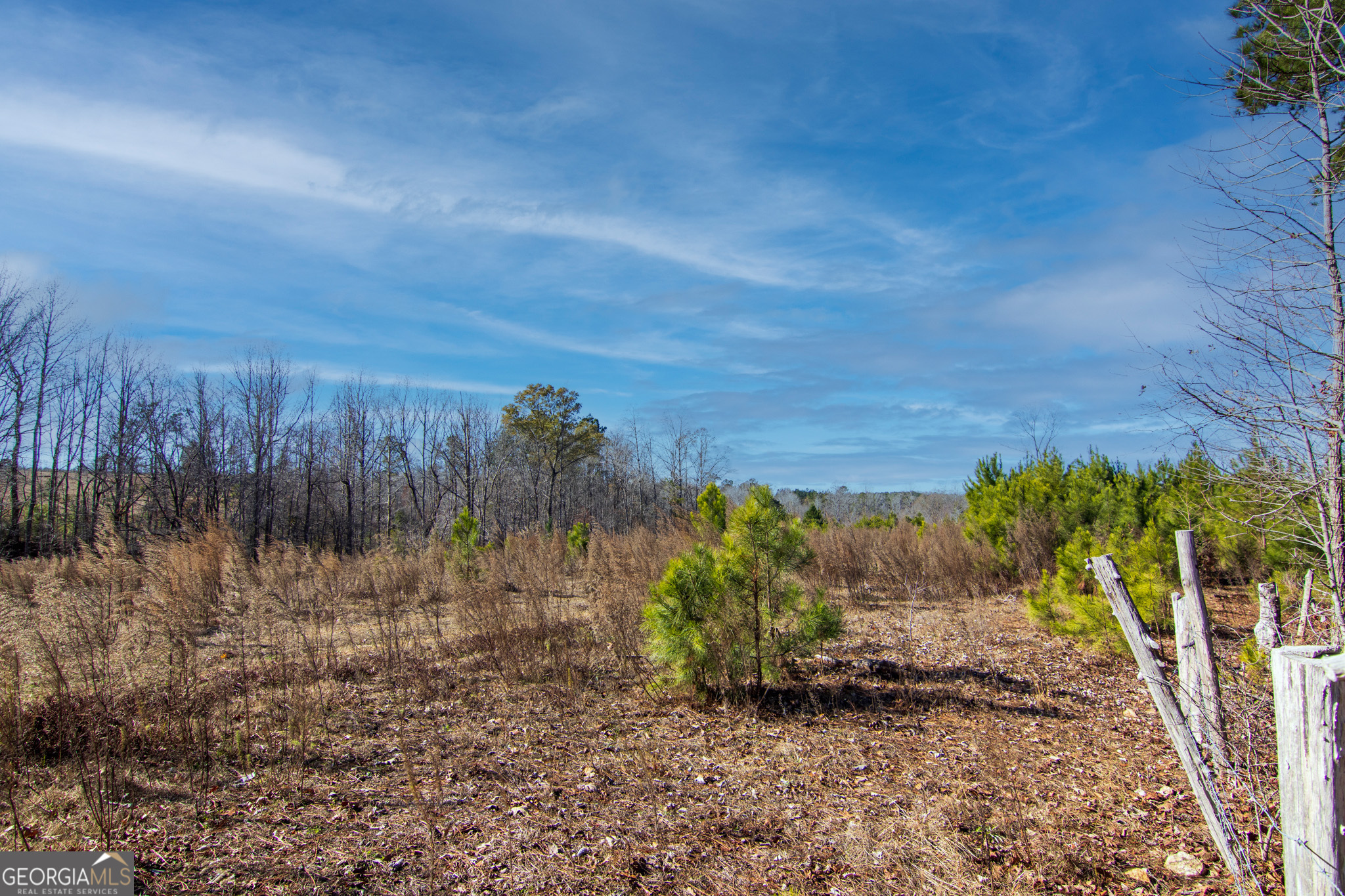 Tract 6-0 Chestnut Grove Road Shiloh, GA 31826 - Photo 2 of 26