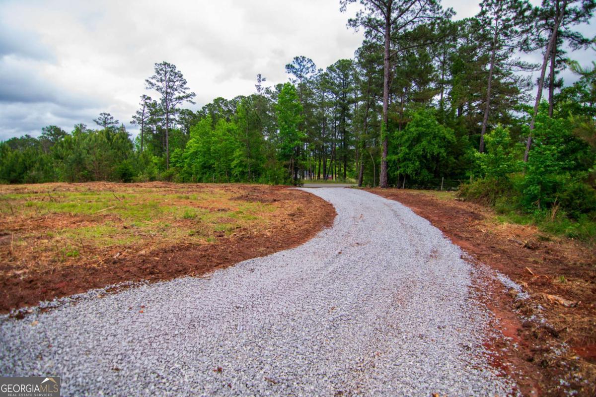 Tract 6-0 Chestnut Grove Road Shiloh, GA 31826 - Photo 22 of 26