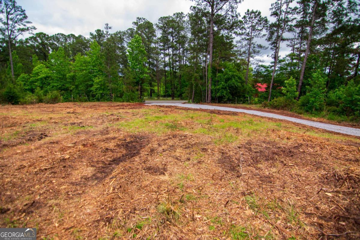 Tract 6-0 Chestnut Grove Road Shiloh, GA 31826 - Photo 24 of 26