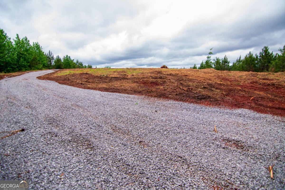 Tract 6-0 Chestnut Grove Road Shiloh, GA 31826 - Photo 25 of 26