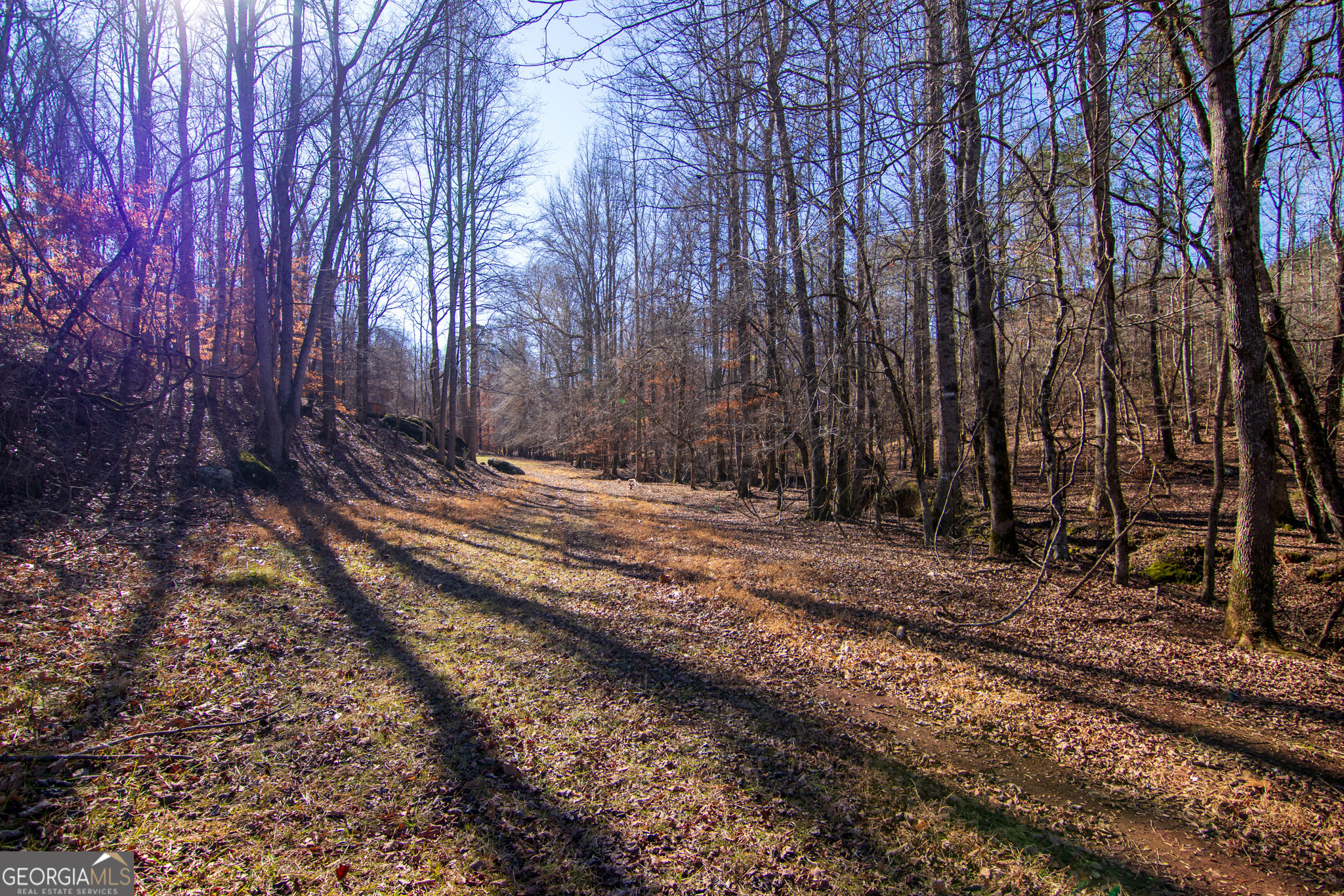Tract 6-0 Chestnut Grove Road Shiloh, GA 31826 - Photo 4 of 26