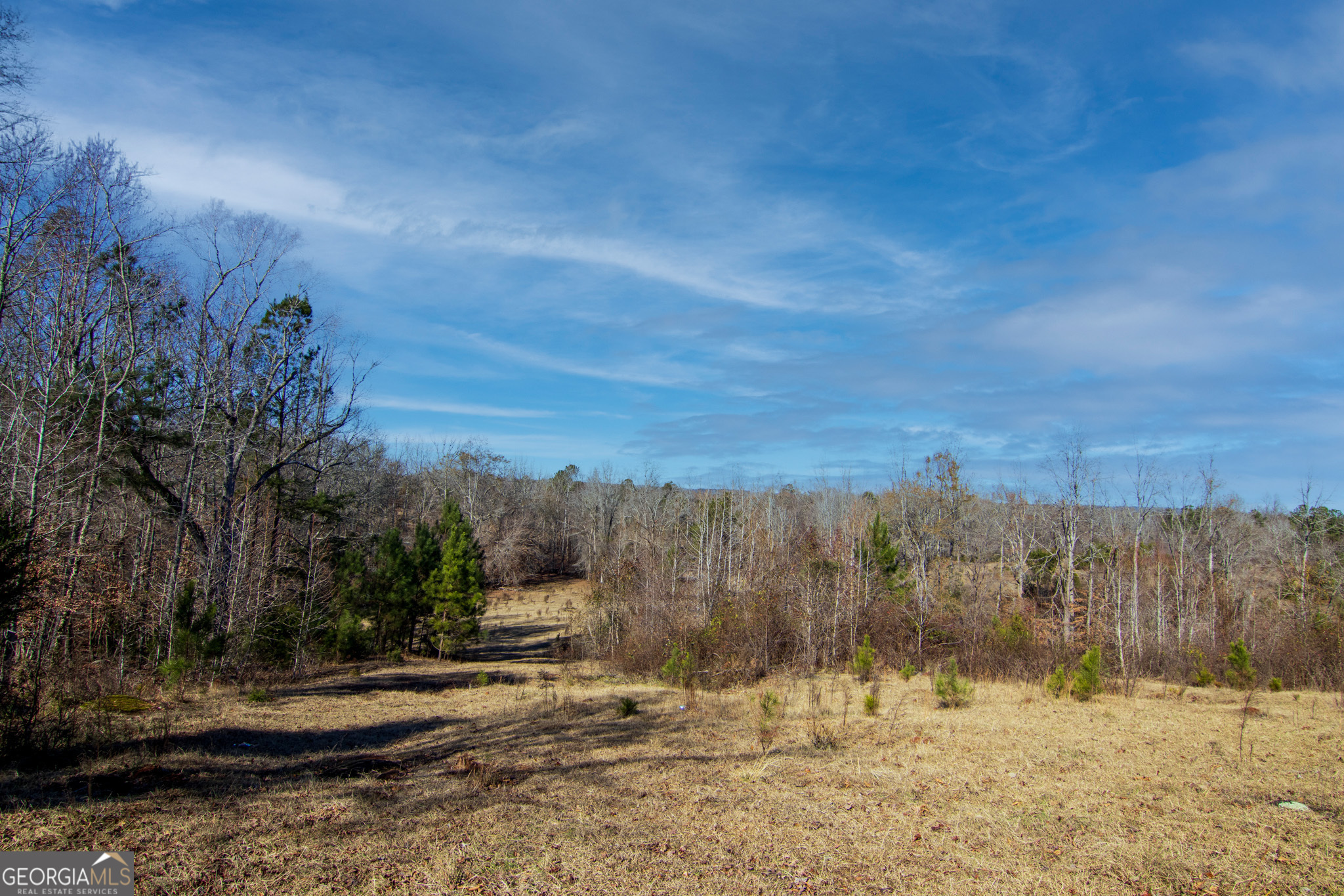 Tract 6-0 Chestnut Grove Road Shiloh, GA 31826 - Photo 5 of 26