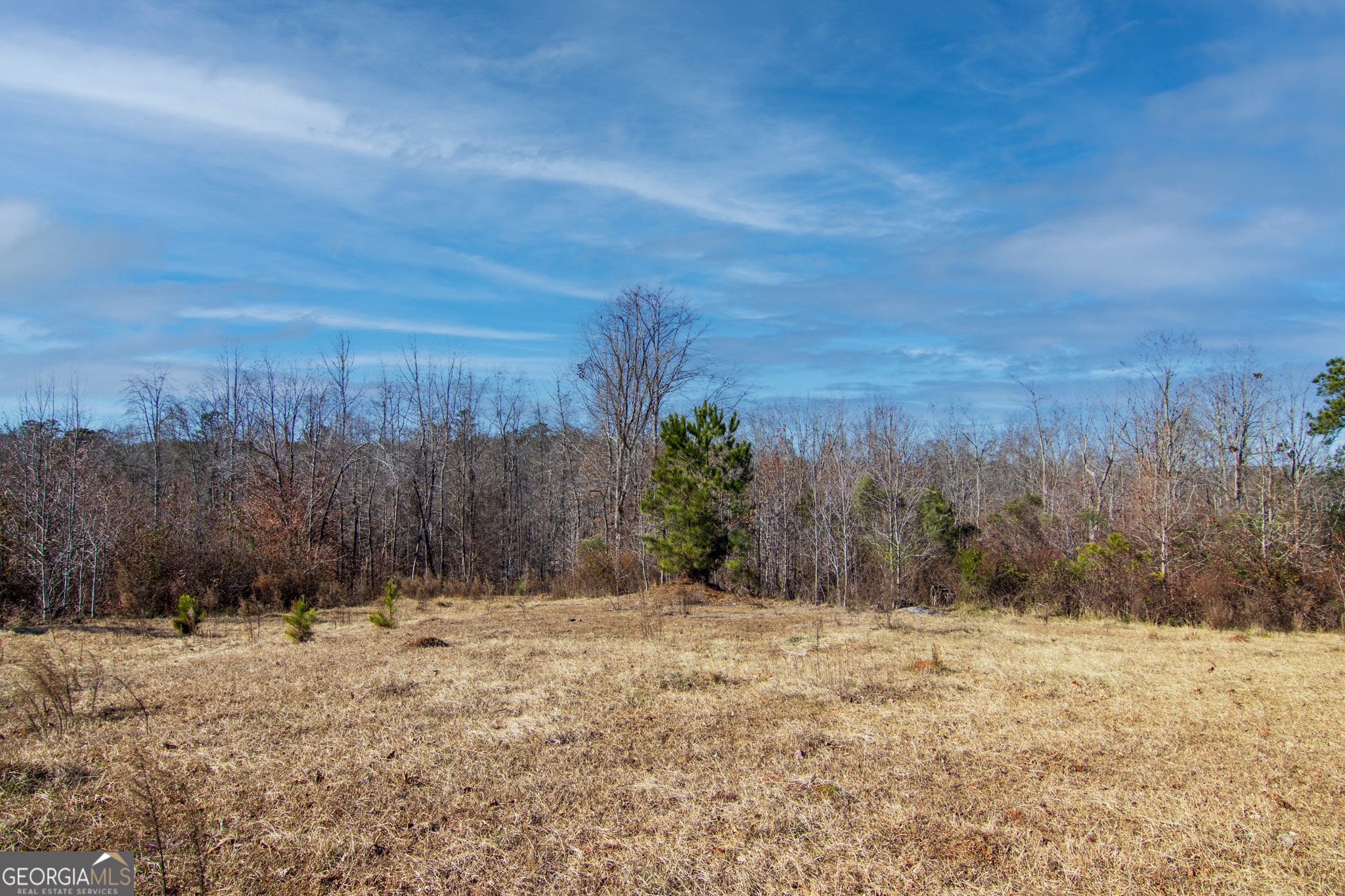 Tract 6-0 Chestnut Grove Road Shiloh, GA 31826 - Photo 6 of 26