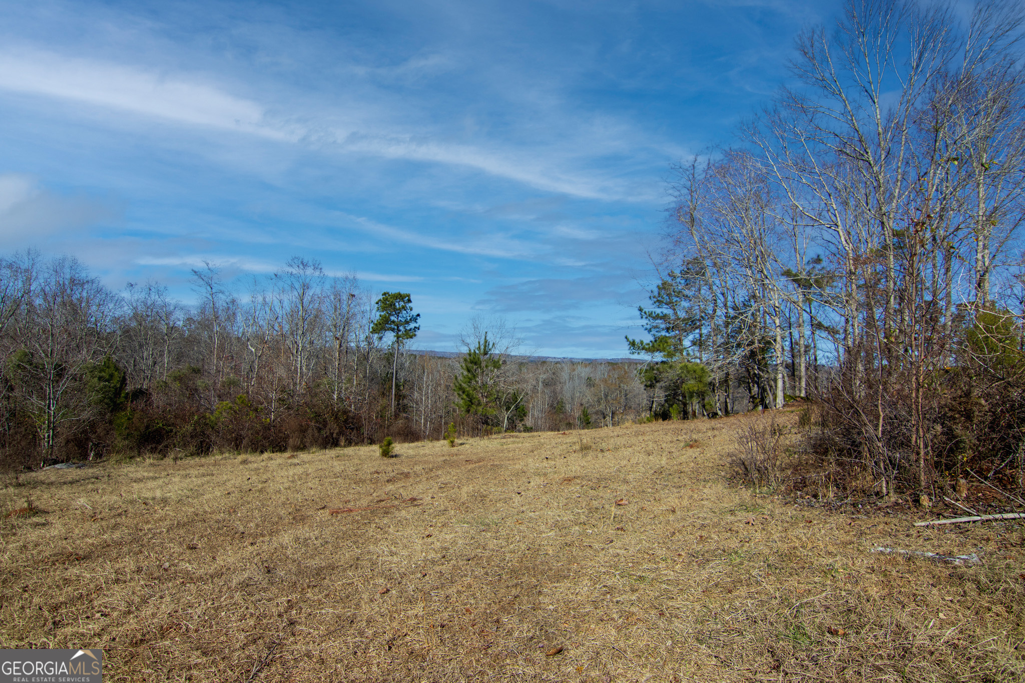 Tract 6-0 Chestnut Grove Road Shiloh, GA 31826 - Photo 7 of 26