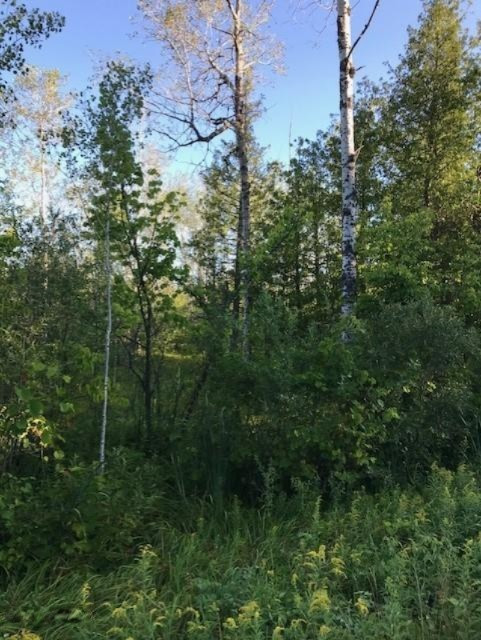 Nesson City Road Copemish, MI 49625 - Photo 2 of 3 Nesson City RD