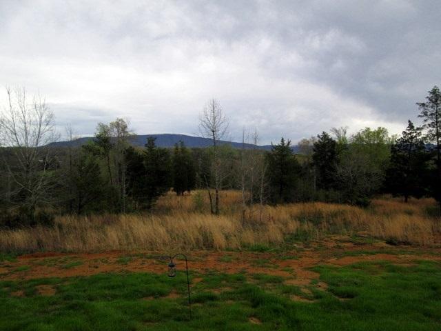 1095 Chestuee Road Delano, TN 37325 - Photo 2 of 22 2