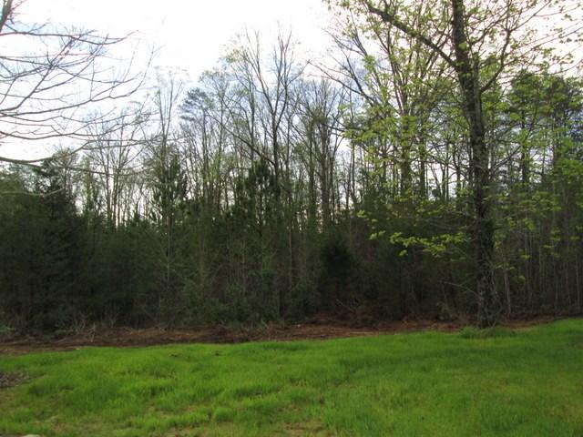 1095 Chestuee Road Delano, TN 37325 - Photo 15 of 22 15