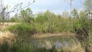 1095 Chestuee Road Delano, TN 37325 - Photo 16 of 22 16