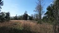 1095 Chestuee Road Delano, TN 37325 - Photo 17 of 22 17