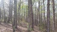 1095 Chestuee Road Delano, TN 37325 - Photo 19 of 22 19