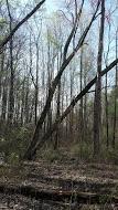 1095 Chestuee Road Delano, TN 37325 - Photo 20 of 22 20
