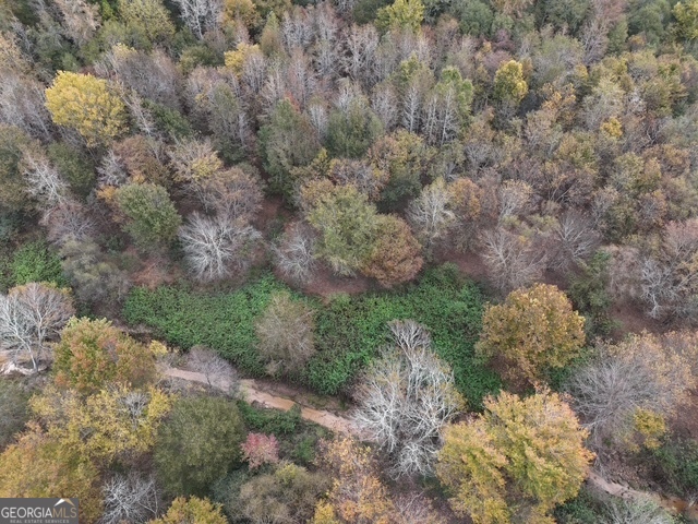 0 Washington Road Lexington, GA 30648 - Photo 2 of 10