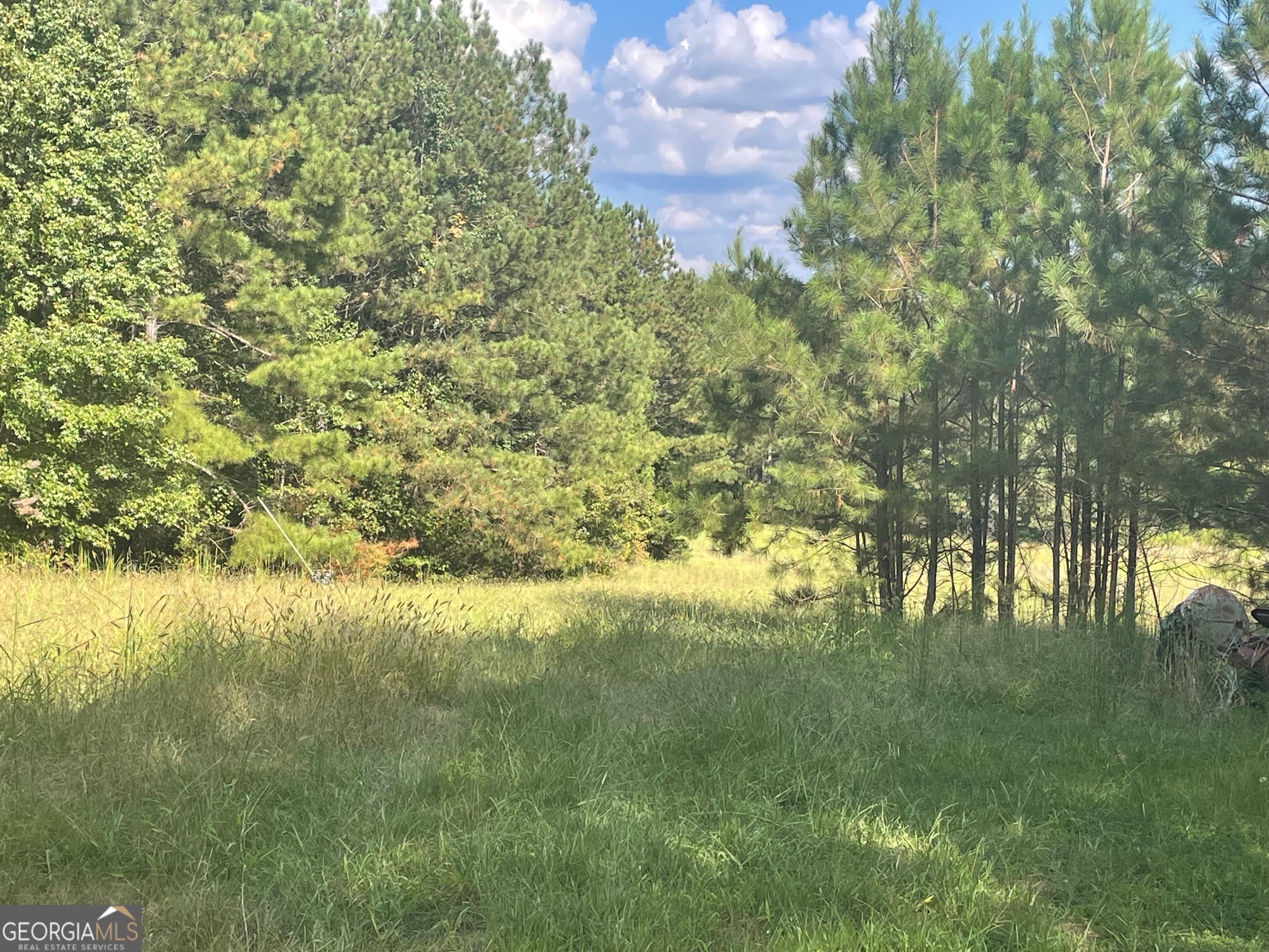 0 Washington Road Lexington, GA 30648 - Photo 3 of 10