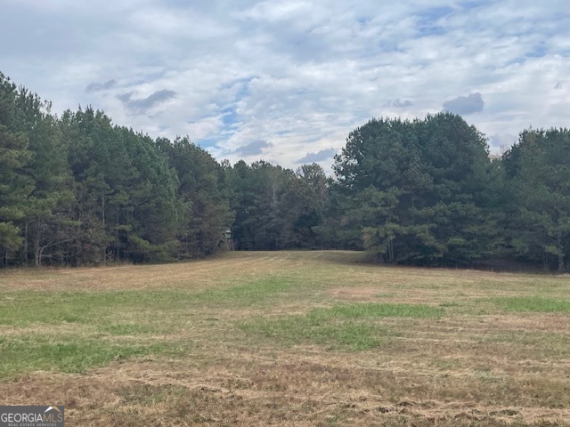 0 Washington Road Lexington, GA 30648 - Photo 4 of 10